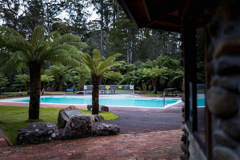 Small-group DayTour From Hobart: Hastings Caves, Huon Valley And Tahune AirWalk - Accommodation Search 12