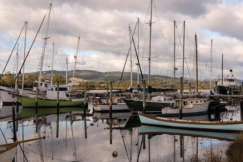 Small-group DayTour From Hobart: Hastings Caves, Huon Valley And Tahune AirWalk - Accommodation Search 13