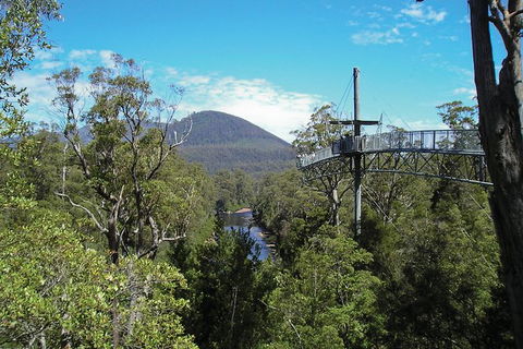 Small-group DayTour From Hobart: Hastings Caves, Huon Valley And Tahune AirWalk - Accommodation Search 9
