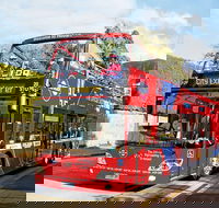 Hobart Hop-on Hop-off Bus Tour - Accommodation Search