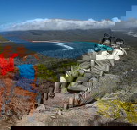 Full-Day Tour One-Way from Launceston to Hobart with Freycinet National Park - Accommodation Search