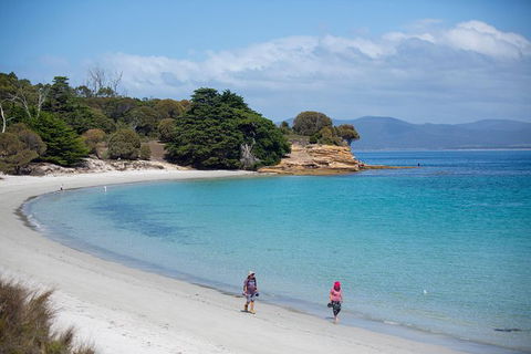 Maria Island Active Day Trip From Hobart - Accommodation Search 1