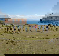 Maria Island Active Day Trip from Hobart - Accommodation Search
