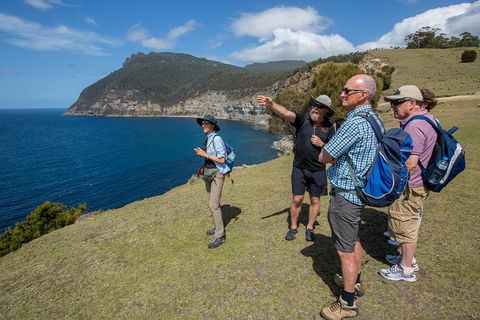 Maria Island Active Day Trip From Hobart - Accommodation Search 10