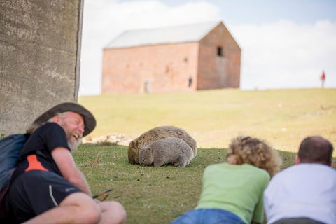 Maria Island Active Day Trip From Hobart - Accommodation Search 14