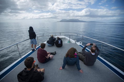 Maria Island Active Day Trip From Hobart - Accommodation Search 13