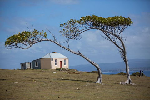 Maria Island Active Day Trip From Hobart - Accommodation Search 3