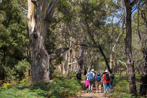 Maria Island Active Day Trip From Hobart - Accommodation Search 12