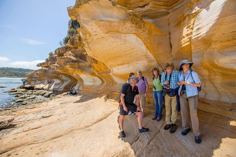 Maria Island Active Day Trip From Hobart - Accommodation Search 7
