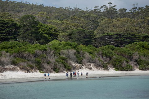 Maria Island Active Day Trip From Hobart - Accommodation Search 11