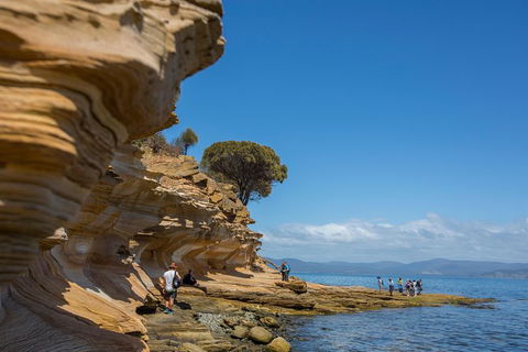 Maria Island Active Day Trip From Hobart - Accommodation Search 5