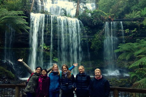 Mt Field National Park Active Day-Trip Including Bonorong And Mt Wellington - Accommodation Search 1