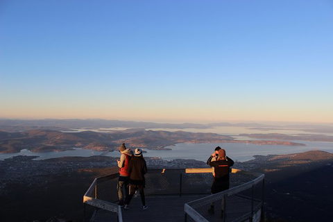 Mt Field National Park Active Day-Trip Including Bonorong And Mt Wellington - Accommodation Search 7