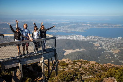 Mt Field National Park Active Day-Trip Including Bonorong And Mt Wellington - Accommodation Search 2