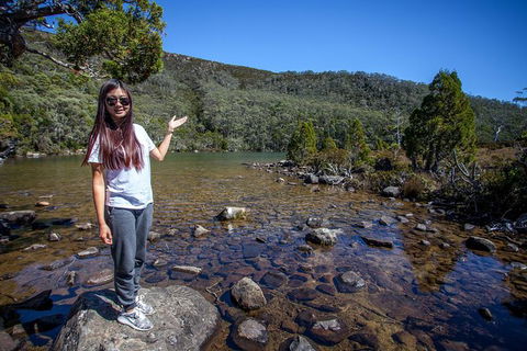 Mt Field National Park Active Day-Trip Including Bonorong And Mt Wellington - Accommodation Search 12