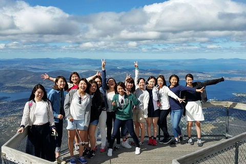 Mt Field National Park Active Day-Trip Including Bonorong And Mt Wellington - Accommodation Search 3