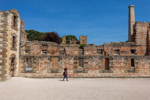 Port Arthur And Lavender Farm Active Day Tour - Accommodation Search 1