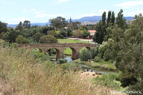 Mt Wellington And Richmond Historical Village Discounted Combo Tour - Accommodation Search 1