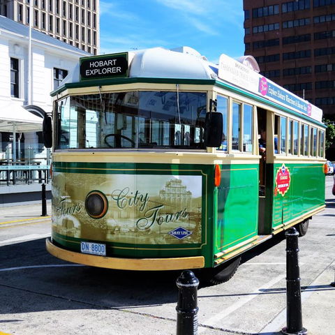 Hobart Half-Day Sightseeing Coach Tram Tour - Accommodation Search 12