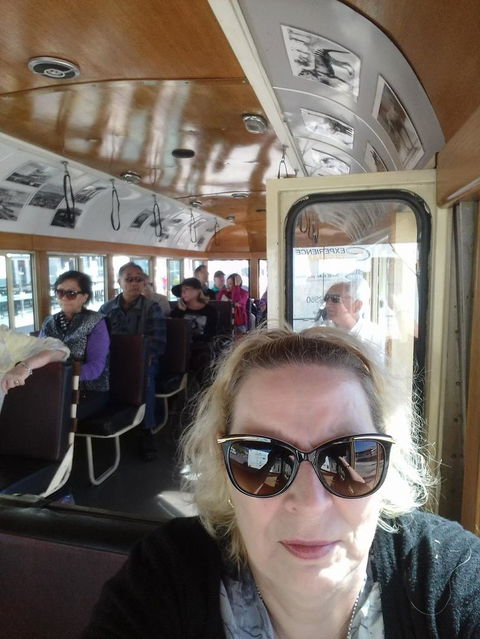 Hobart Half-Day Sightseeing Coach Tram Tour - Accommodation Search 2