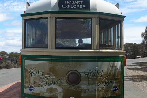 Hobart Half-Day Sightseeing Coach Tram Tour - Accommodation Search 16