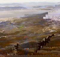 Mt Wellington Half Day Guided Summit Hike - Accommodation Search