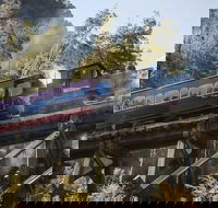 West Coast Wilderness Railway Queenstown Explorer from Strahan - Accommodation Search