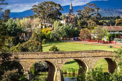 Shore Excursion-Hobart Wanderer - Accommodation Search 0