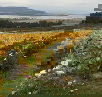 Mona and Wine Experience Tour - Accommodation Search