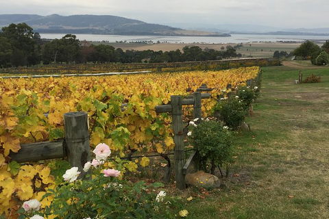 Mona And Wine Experience Tour - Accommodation Search 0