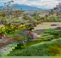 Shore Excursion Hobart's Best In Half A Day - Accommodation Search