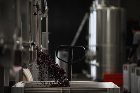 Private 90-minute Moorilla Estate Winery Tour With Tastings And Free Wine Gift - Accommodation Search 1
