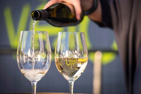 Full Day Tamar Valley Wine Tour - Accommodation Search 1