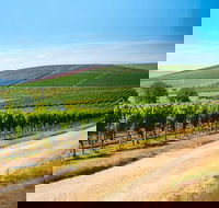 Full Day Tamar Valley Wine Tour - Accommodation Search