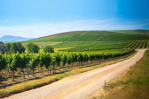 Full Day Tamar Valley Wine Tour - Accommodation Search 2