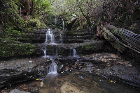 Hobart And Surrounds Photography Workshop - Accommodation Search 7