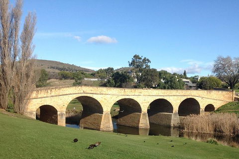Private Bonorong Wildlife Sanctuary And Richmond 5 Hour Trip From Hobart - Accommodation Search 1