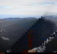 Mount Field National Park - Tarn Shelf  Russell Falls - Guided Hiking Tour - Accommodation Search