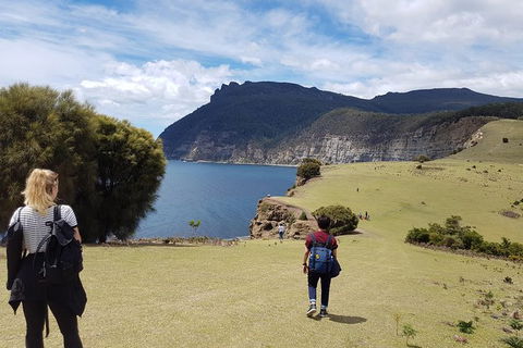 3-Day: Hobart Nature Walking Tour: Maria Island, Cape Raoul & Mount Field - Accommodation Search 3