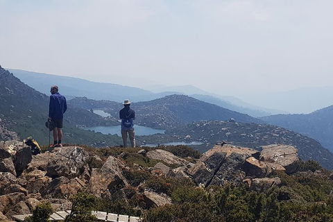 3-Day: Hobart Nature Walking Tour: Maria Island, Cape Raoul & Mount Field - Accommodation Search 11