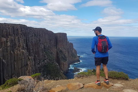 3-Day: Hobart Nature Walking Tour: Maria Island, Cape Raoul & Mount Field - Accommodation Search 13