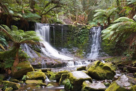 3-Day: Hobart Nature Walking Tour: Maria Island, Cape Raoul & Mount Field - Accommodation Search 10