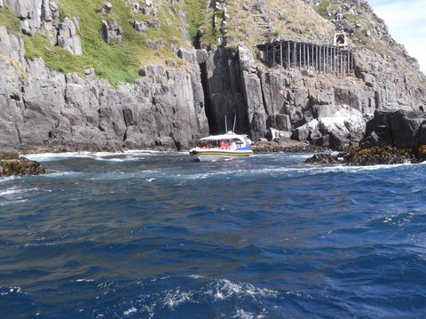 Day Trip To Tasman Peninsula And Port Arthur Historic Site From Hobart - Accommodation Search 5
