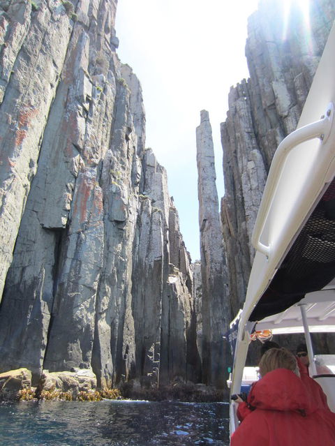 Day Trip To Tasman Peninsula And Port Arthur Historic Site From Hobart - Accommodation Search 8