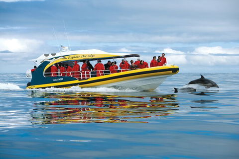Day Trip To Tasman Peninsula And Port Arthur Historic Site From Hobart - Accommodation Search 10