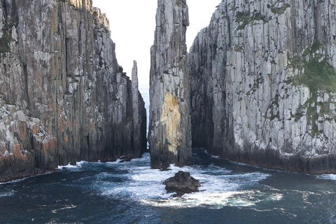 Day Trip To Tasman Peninsula And Port Arthur Historic Site From Hobart - Accommodation Search 9