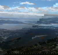 Mount Wellington Tour from Hobart - Accommodation Search