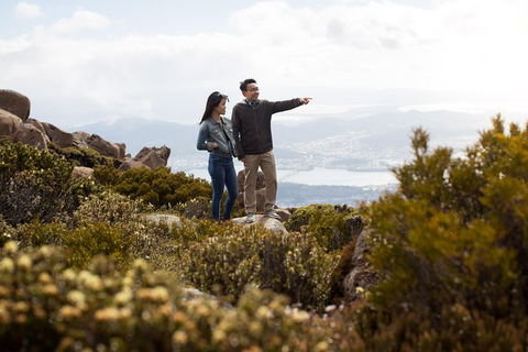 Mount Wellington Tour From Hobart - Accommodation Search 7