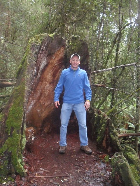 Mt Field National Park And Russell Falls From Hobart - Accommodation Search 6