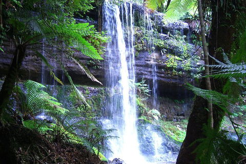 Mt Field National Park And Russell Falls From Hobart - Accommodation Search 1